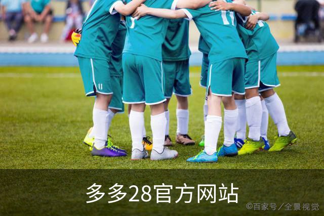 关于多多28官方网站展示图